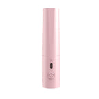Lisseur cheveux portable filaire - Rose & Violet